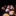 International Dance Competition Berlin: Switzerland International Dance Competition Berlin: Switzerlan...