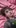 20261022 LEBEN JaneMumford SabinaBosch01 LR-3431x6...