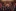 20261030 WCV WienerKonzertverein--5443 c Julia Wes...